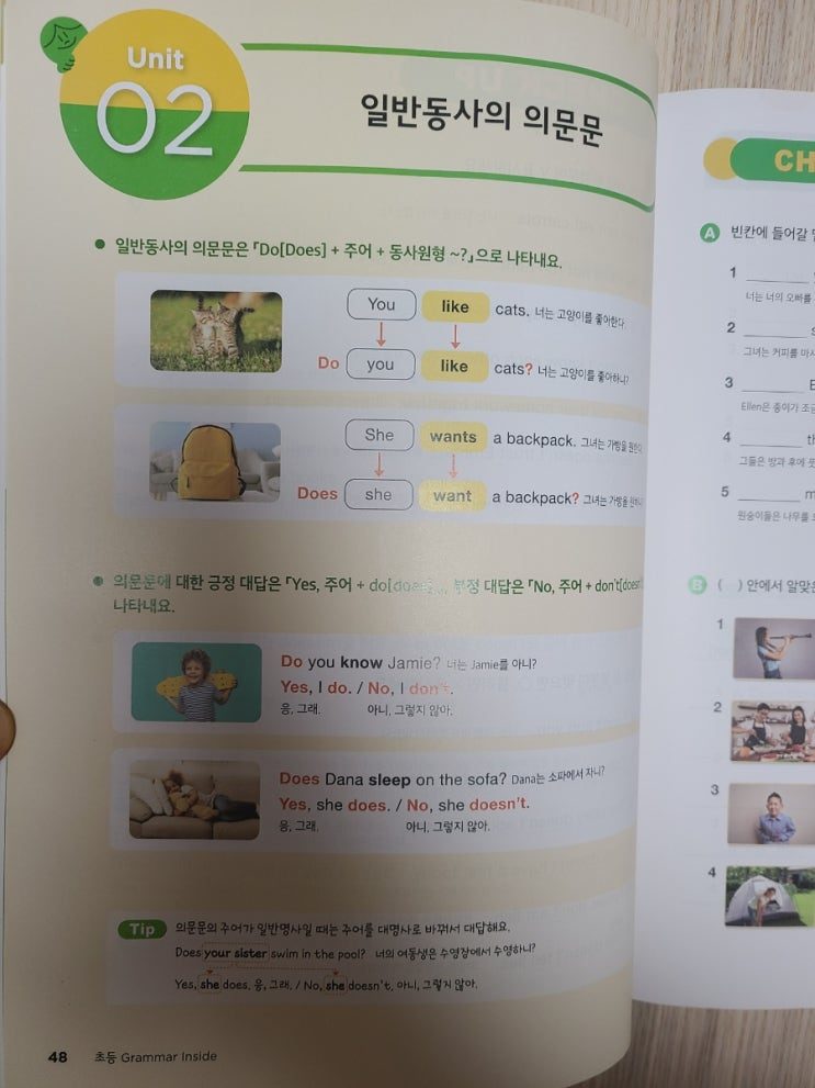 영어학습 (초등 Inter) 관련 사진