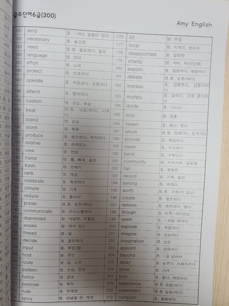영어학습 (초등 Inter) 관련 사진